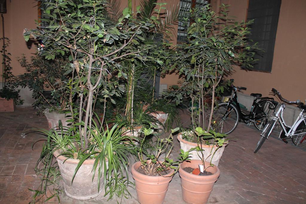 Monolocale Oberdan Apartment Bologna Bagian luar foto